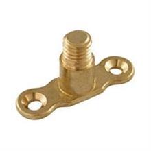 This is an image of a 10mm Brass Male Backplate